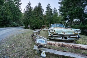 Property grounds - Cozy Cabin Getaway. Fireplace, king bed, hot tub, Pet OK. (Metchosin)