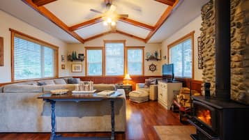 Smart-tv, een open haard, een dvd-speler en boeken