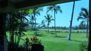 A view from a covered outdoor area with a table and chairs, overlooking a well-maintained lawn and palm trees.
