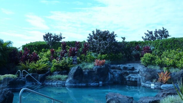 A pool area with a rock formation and a metal ladder.