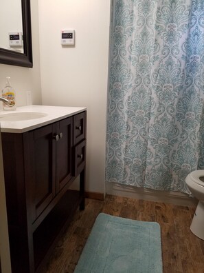 Combined shower/bathtub, hair dryer, towels, shampoo