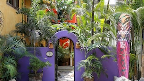 Un sendero estrecho que lleva a la entrada de un edificio, rodeado de exuberante vegetación tropical y un muro morado.