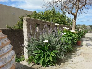 Un jardin avec différentes plantes et fleurs, un mur en béton et un arbre.