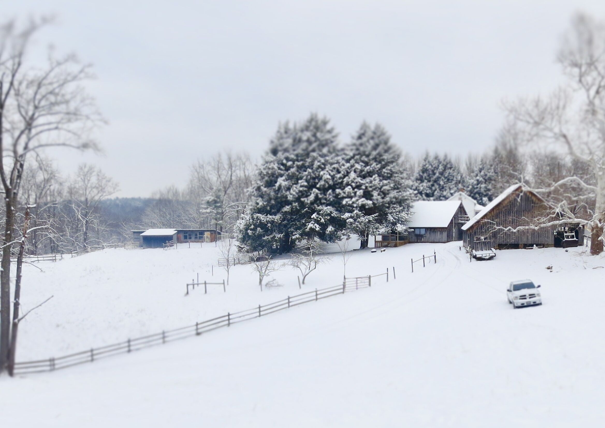 A snow-covered rural landscape with a barn, a tree, and a fence.