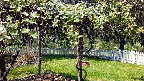 The Homestead, at Nine Pines Farm - Hot Tub and Walking Trails