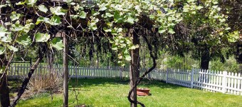 The Homestead, at Nine Pines Farm - Hot Tub and Walking Trails