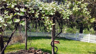 The Homestead, at Nine Pines Farm - Hot Tub and Walking Trails
