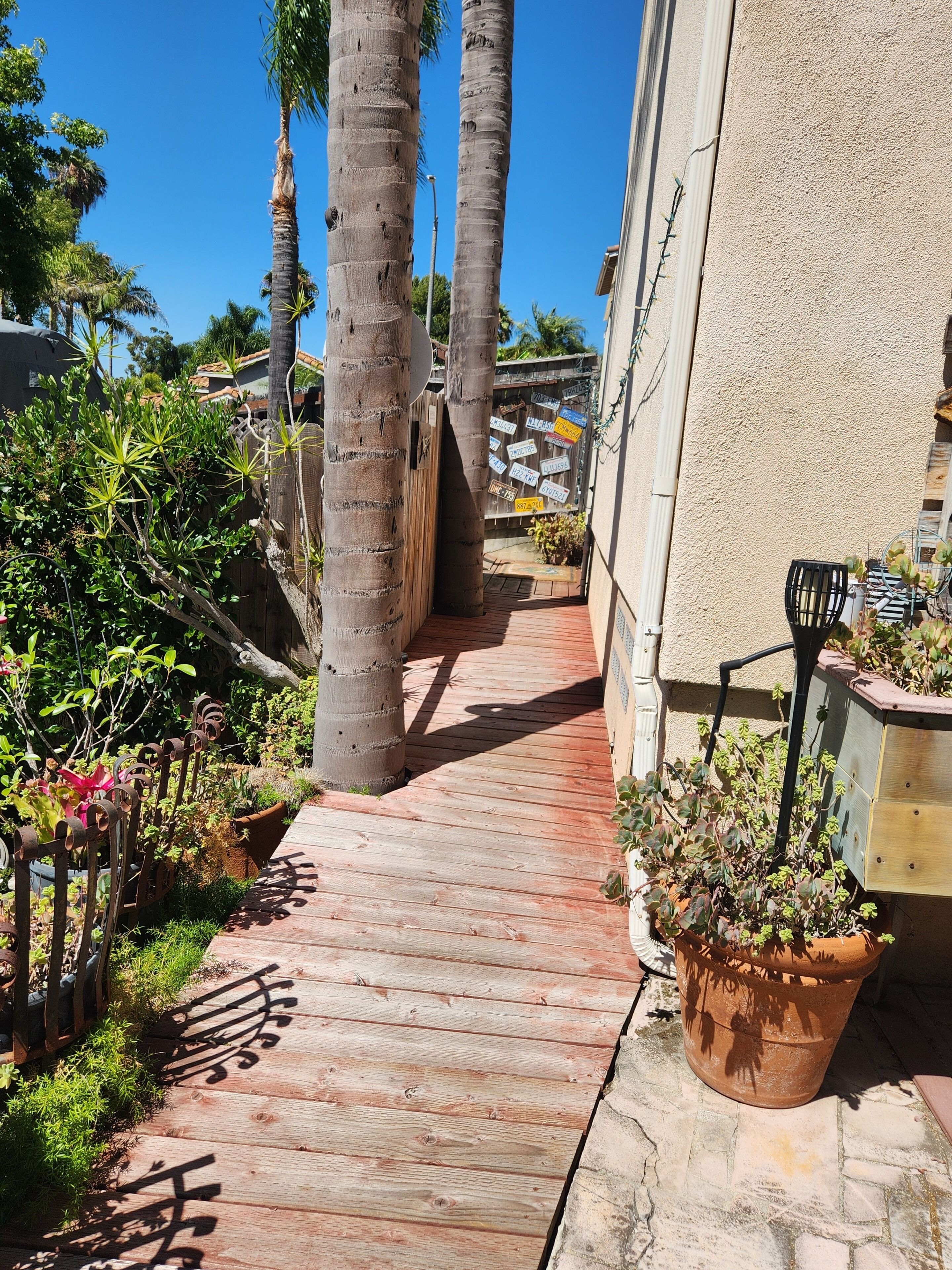 A wooden pathway flanked by palm trees and potted plants, leading to a building with a textured wall.