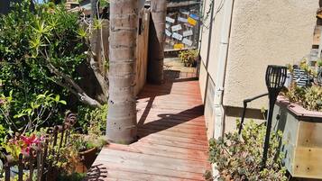 A wooden pathway flanked by palm trees and potted plants, leading to a building with a textured wall.