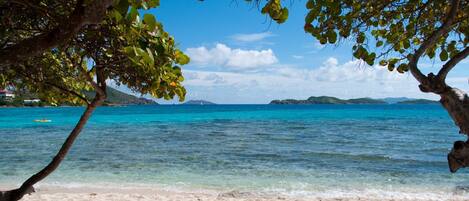 Ein Strand mit klarem türkisblauem Wasser, einem Sandufer und einem Baum, der Schatten spendet.