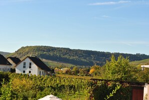 View from property - Moselhotel Ludwigs (Köwerich)
