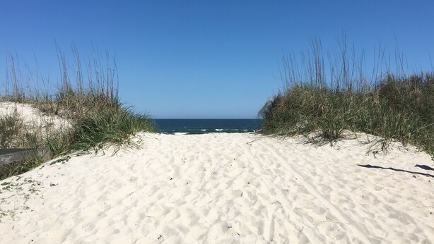 A sandy beach path leading to the ocean, flanked by tall grasses.