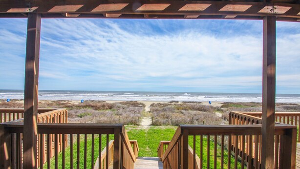 Une terrasse en bois qui mène à une plage, offrant une vue dégagée sur l’océan et des dunes verdoyantes.