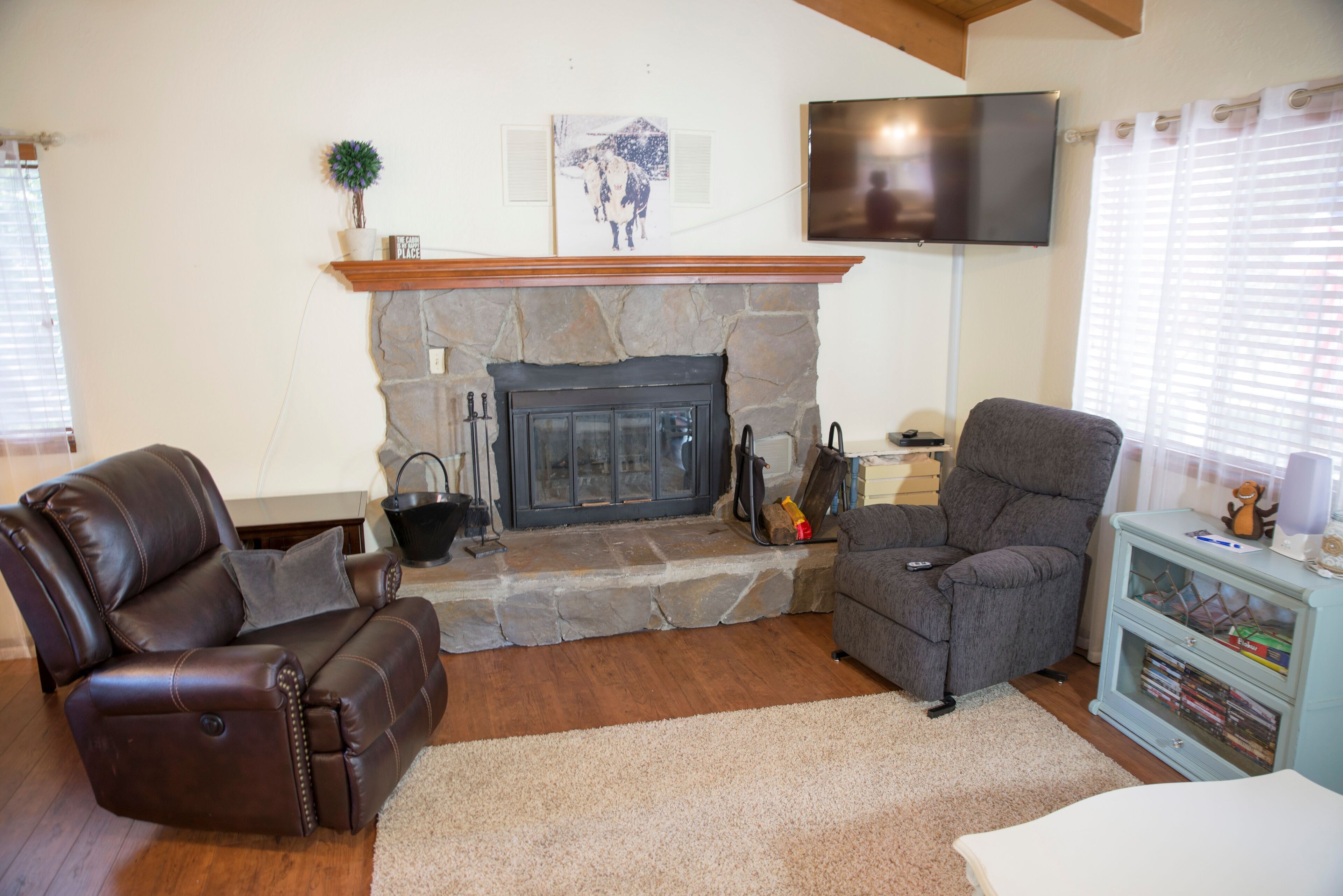 TV, fireplace, DVD player, video library