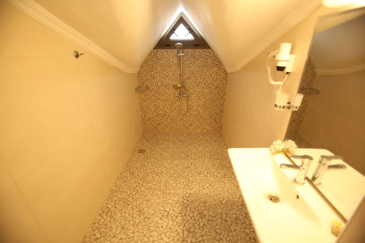 economy room, mountain view (attic) | bathroom | shower, rainfall showerhead, free toiletries, hair dryer