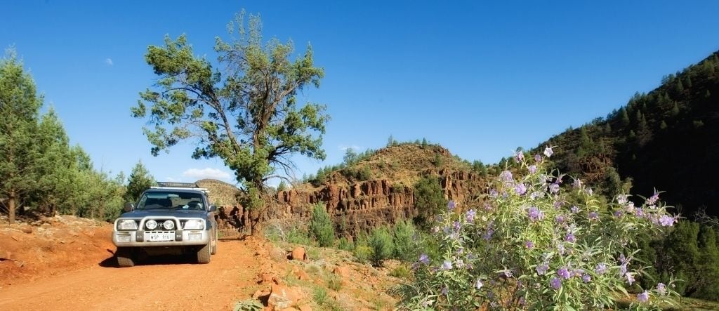 A vehicle on a dirt road with trees and rocky terrain in the background.