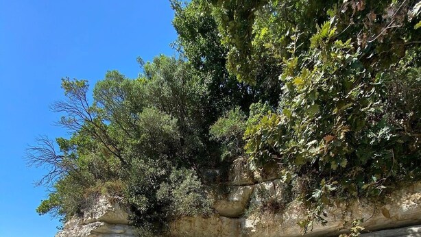 Une formation rocheuse naturelle avec de l’eau claire et un petit galet sur la rive.