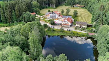 An aerial view of a residential area with houses, a pond, and surrounding forest.