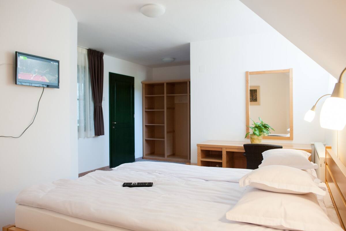 A hotel room with a bed, a desk, a mirror, a TV, and a wardrobe.