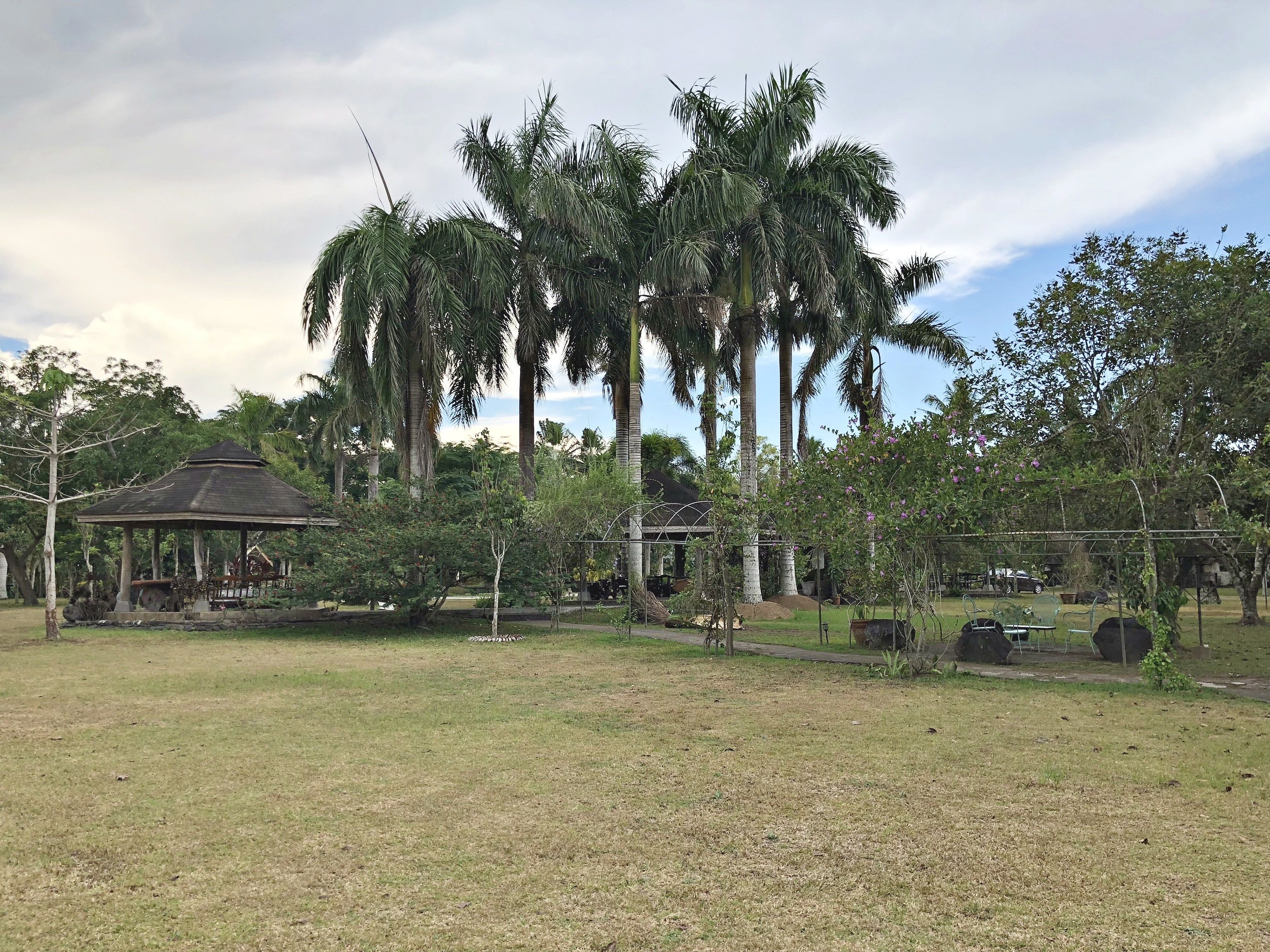 A park with a gazebo, palm trees, and a grassy area.