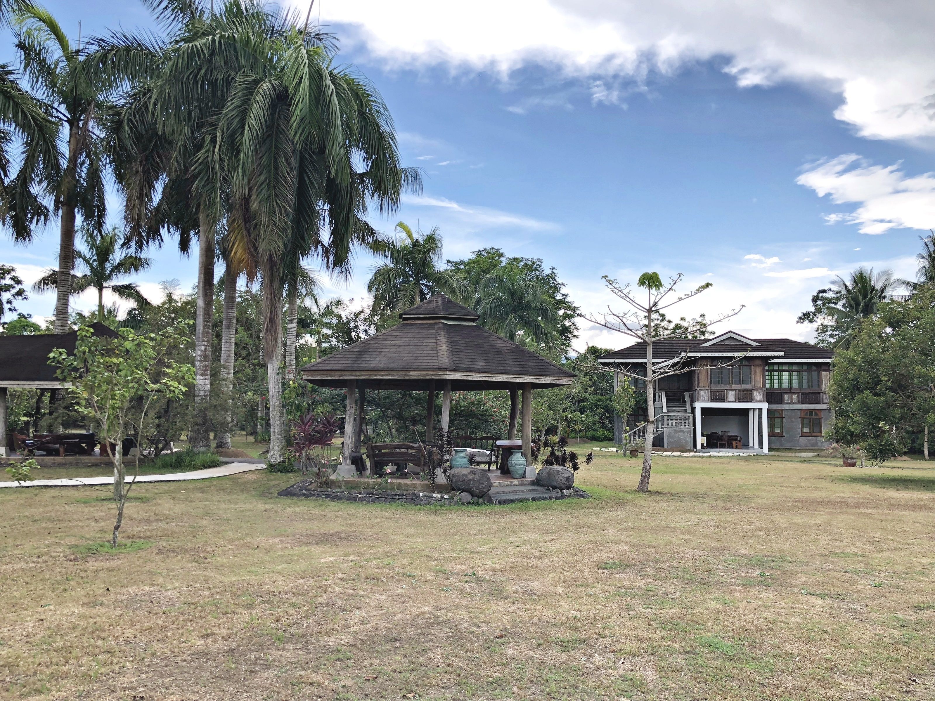 A gazebo in a grassy area with palm trees and a two-story building in the background.