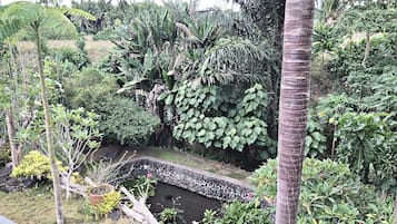 Taman