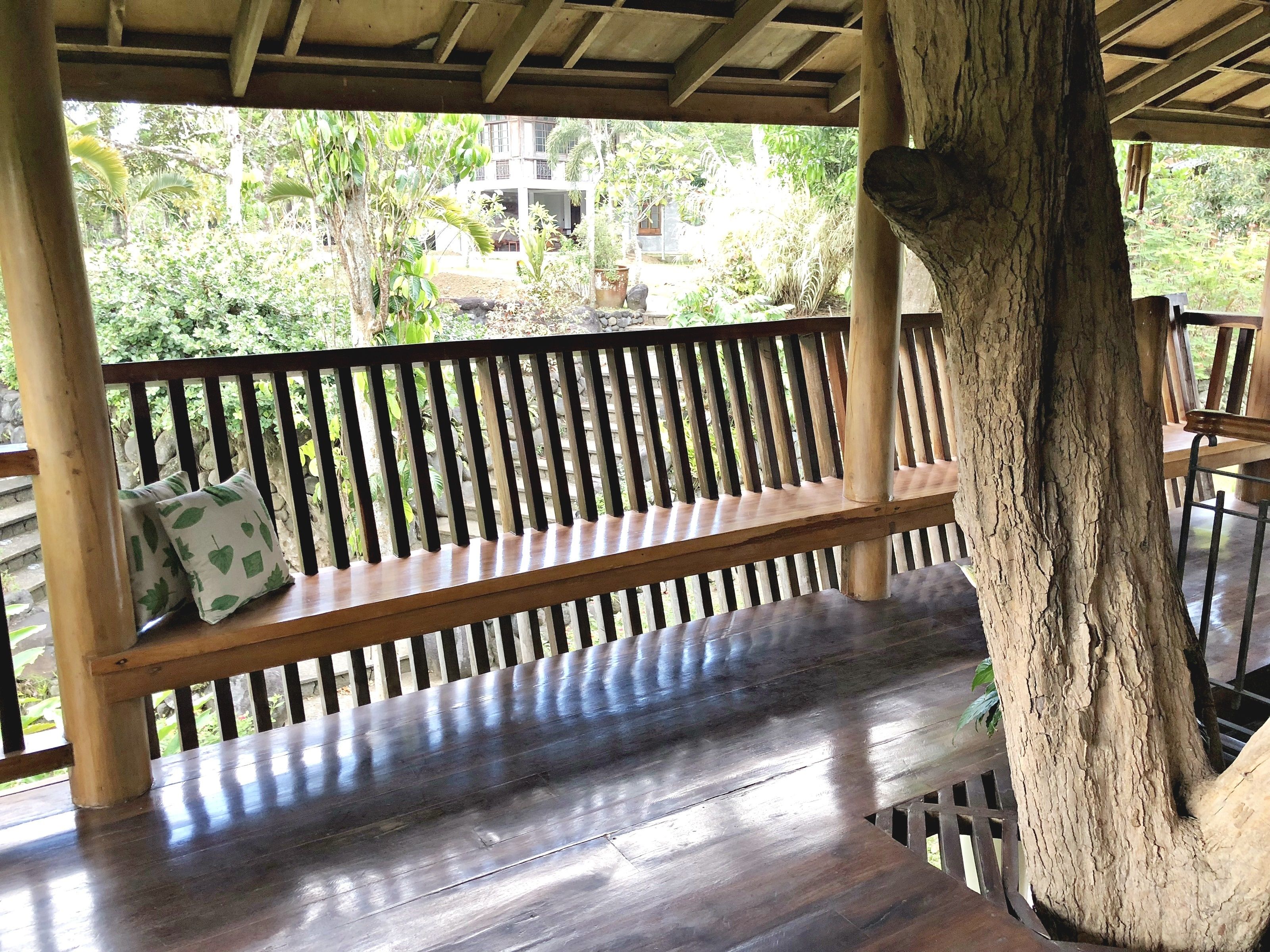 Un banco de madera con vistas a un jardín exuberante y un edificio al fondo.