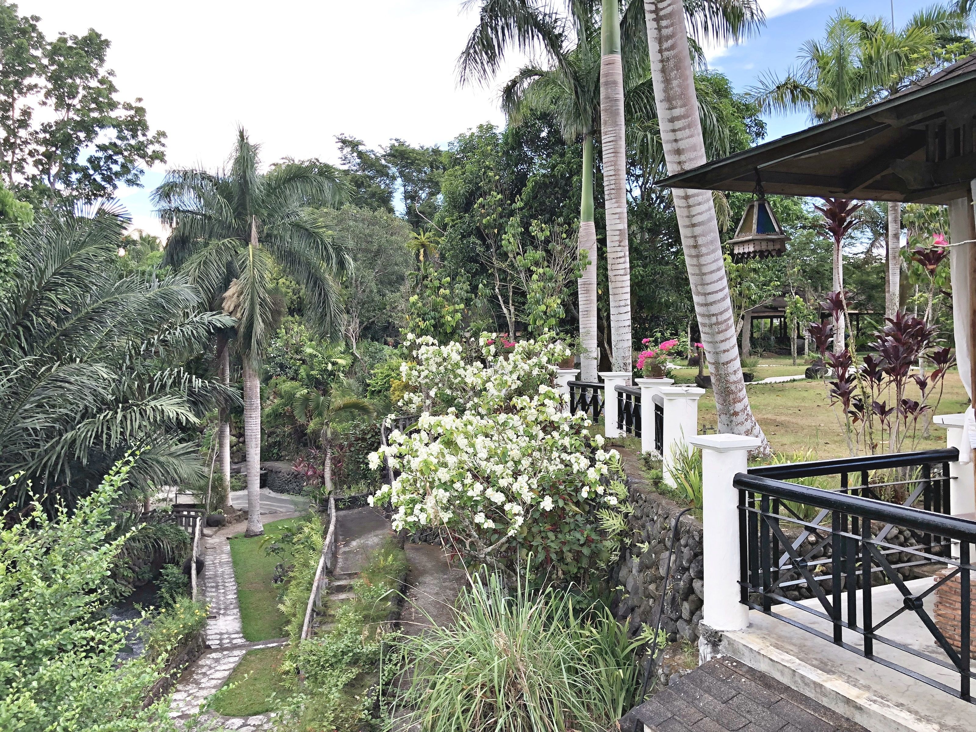 A lush garden with a stone pathway, palm trees, and a white building with a black railing.