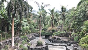 A landscaped garden with winding pathways, stone walls, and tropical vegetation.
