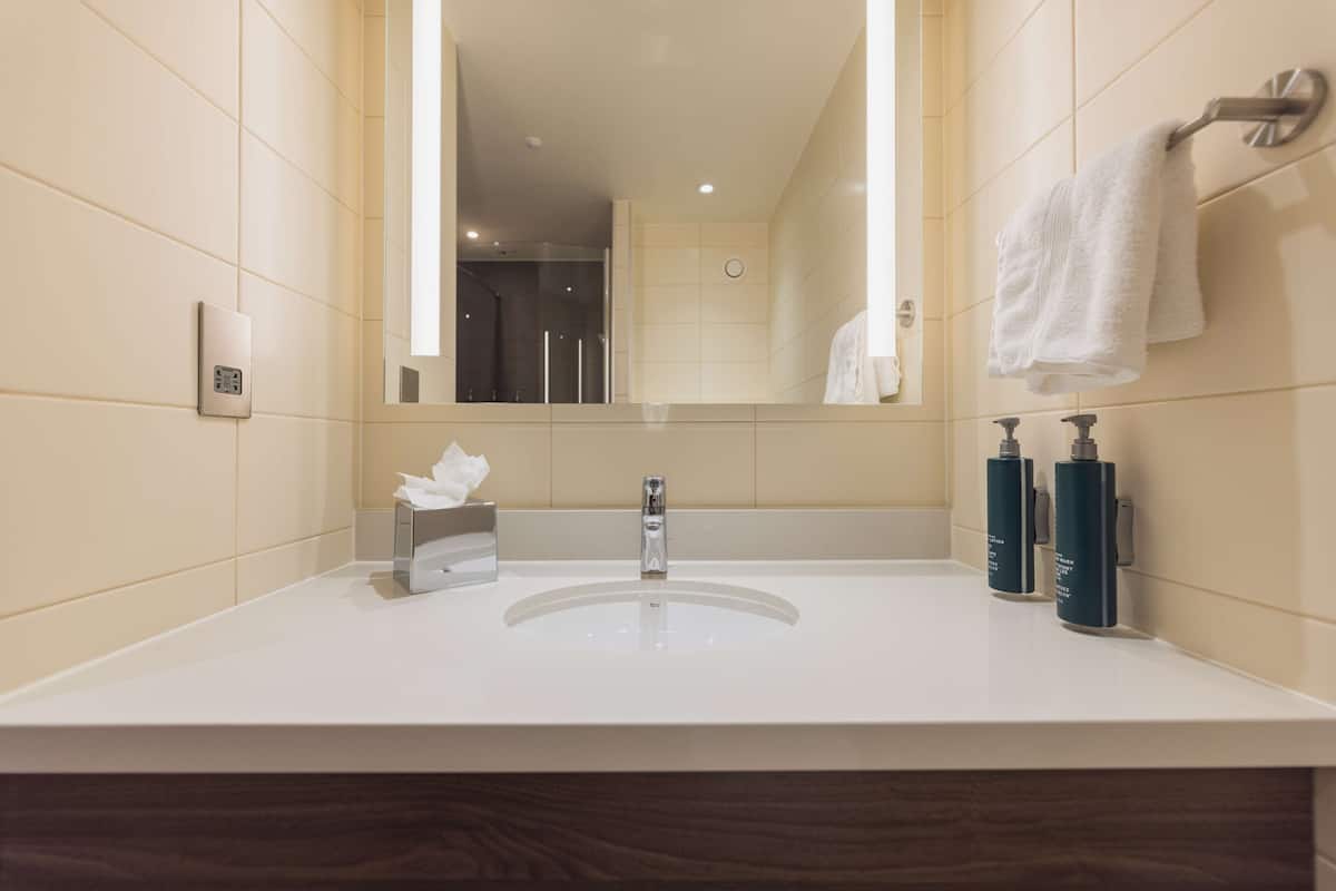 family room, 1 queen bed | bathroom | combined shower/bathtub, hair dryer