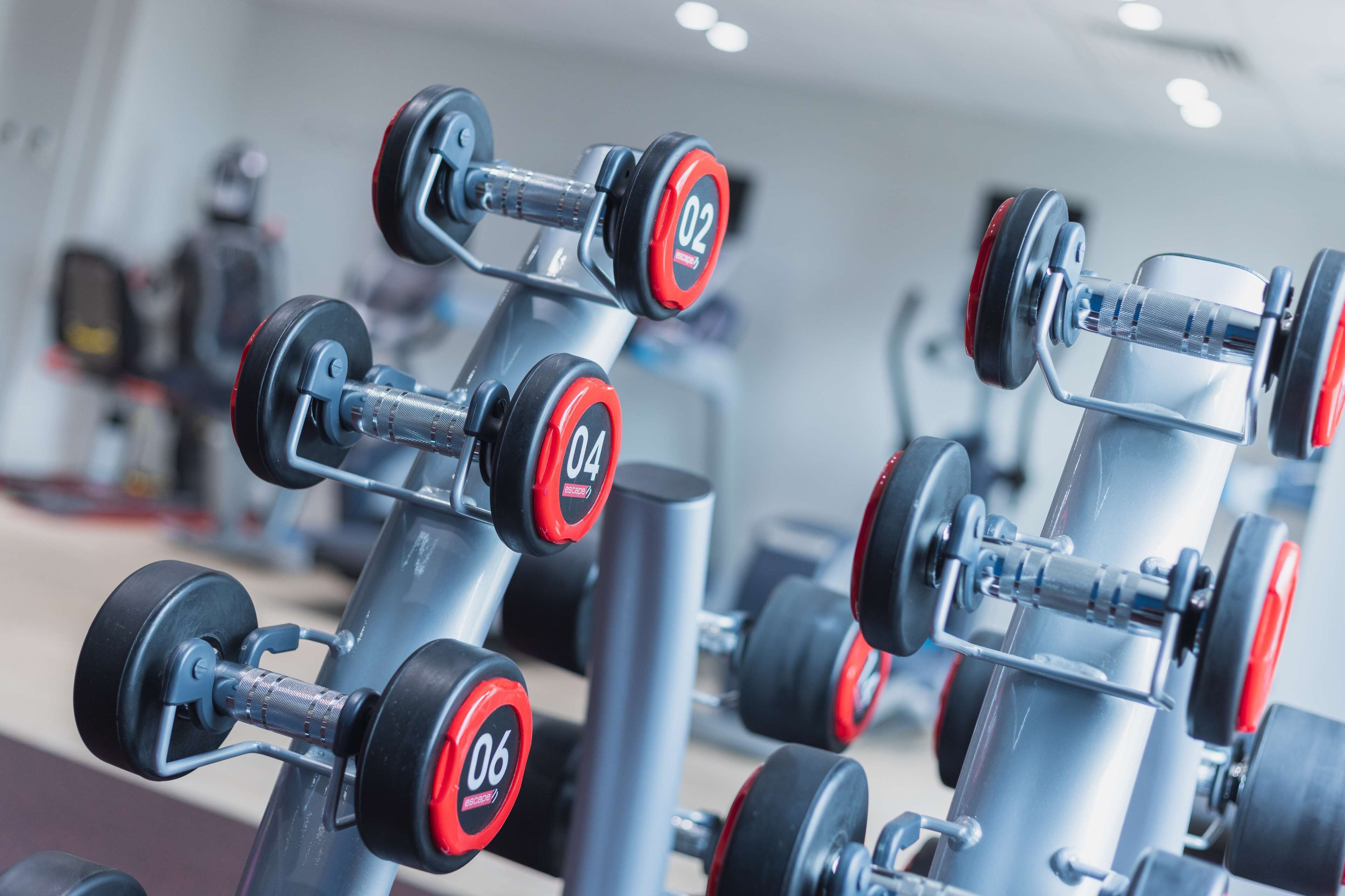 A row of dumbbells with red and black weights, each marked with numbers, in a gym setting.