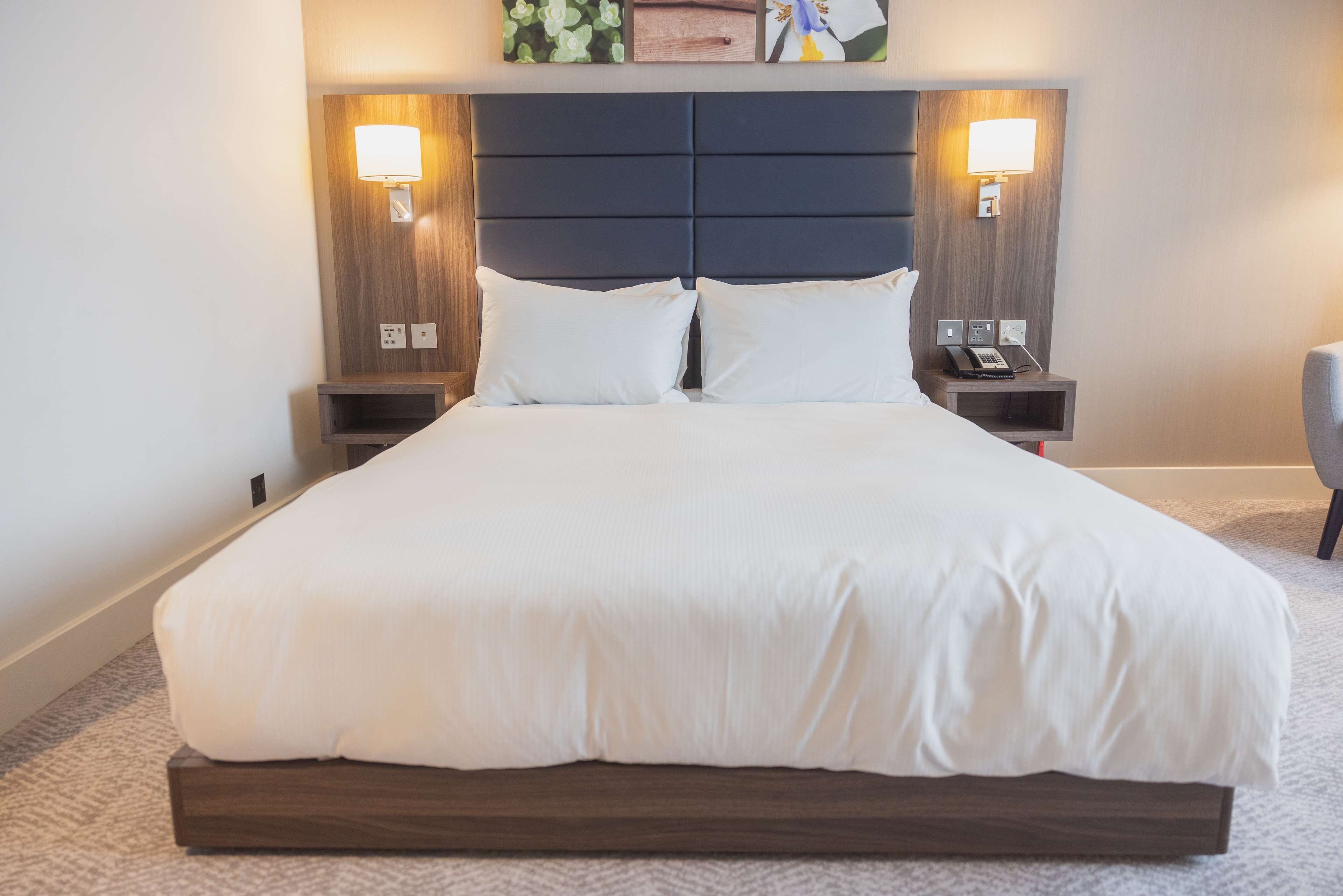 Room, 1 Queen Bed, Accessible | Premium bedding, in-room safe, desk, blackout curtains