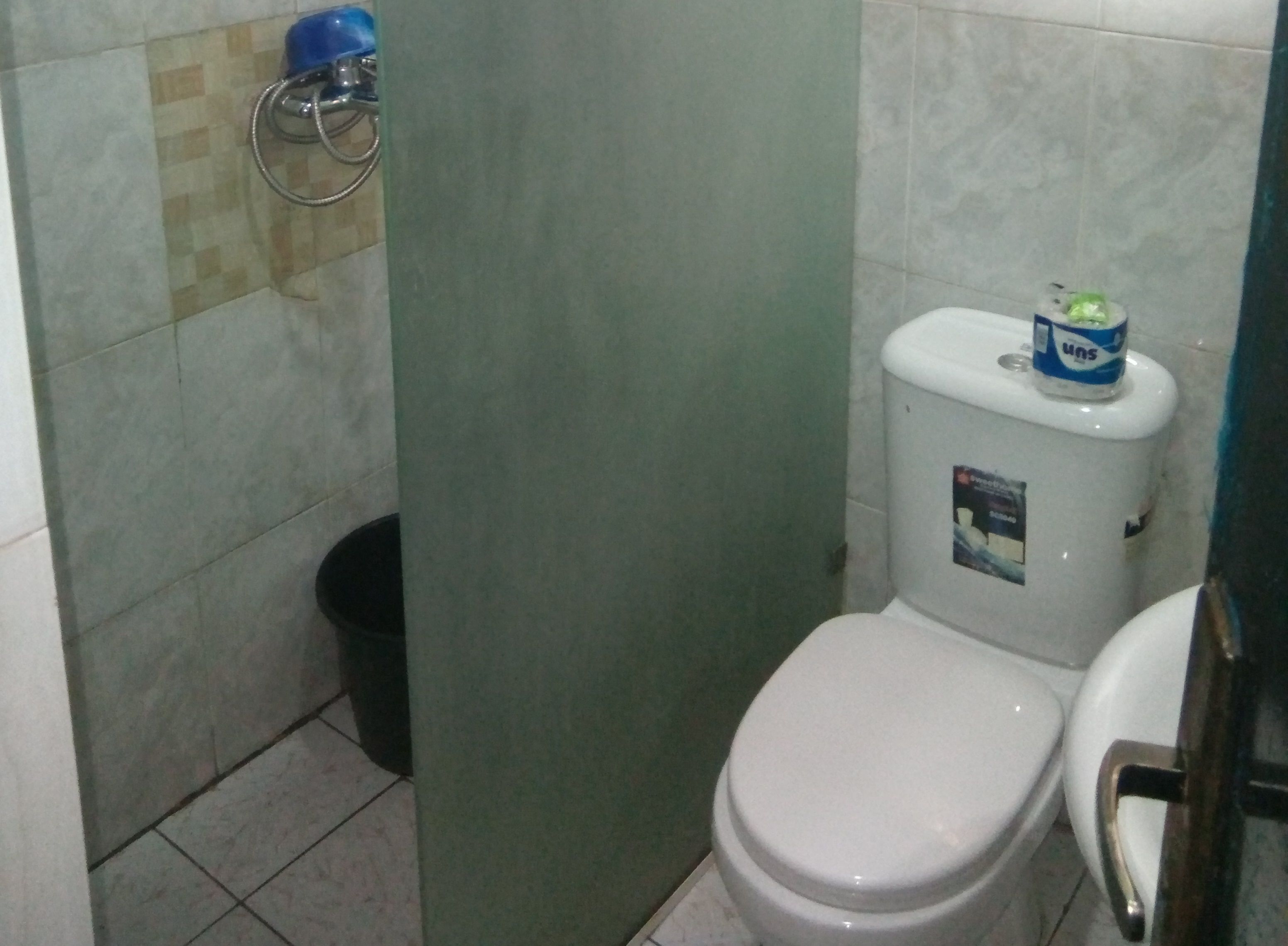 A small bathroom with a toilet, a sink, and a shower area.