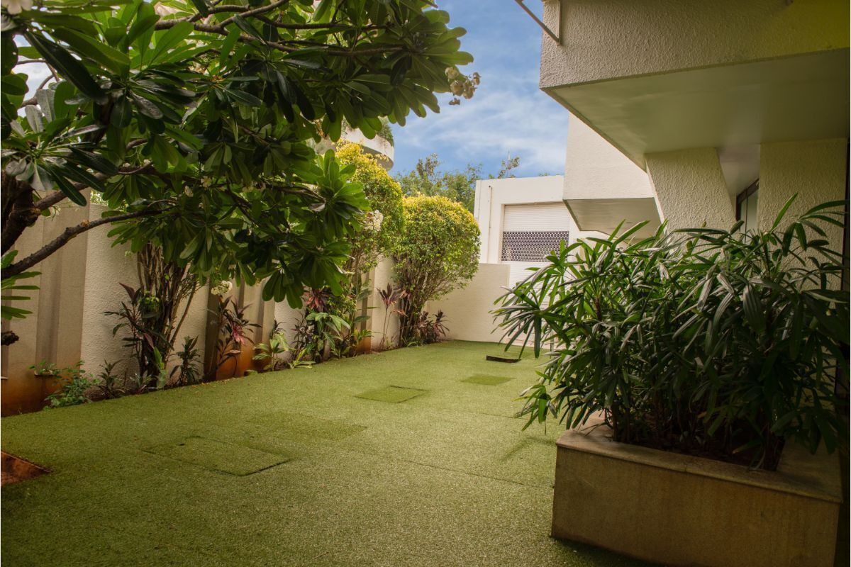 Terraza en la azotea