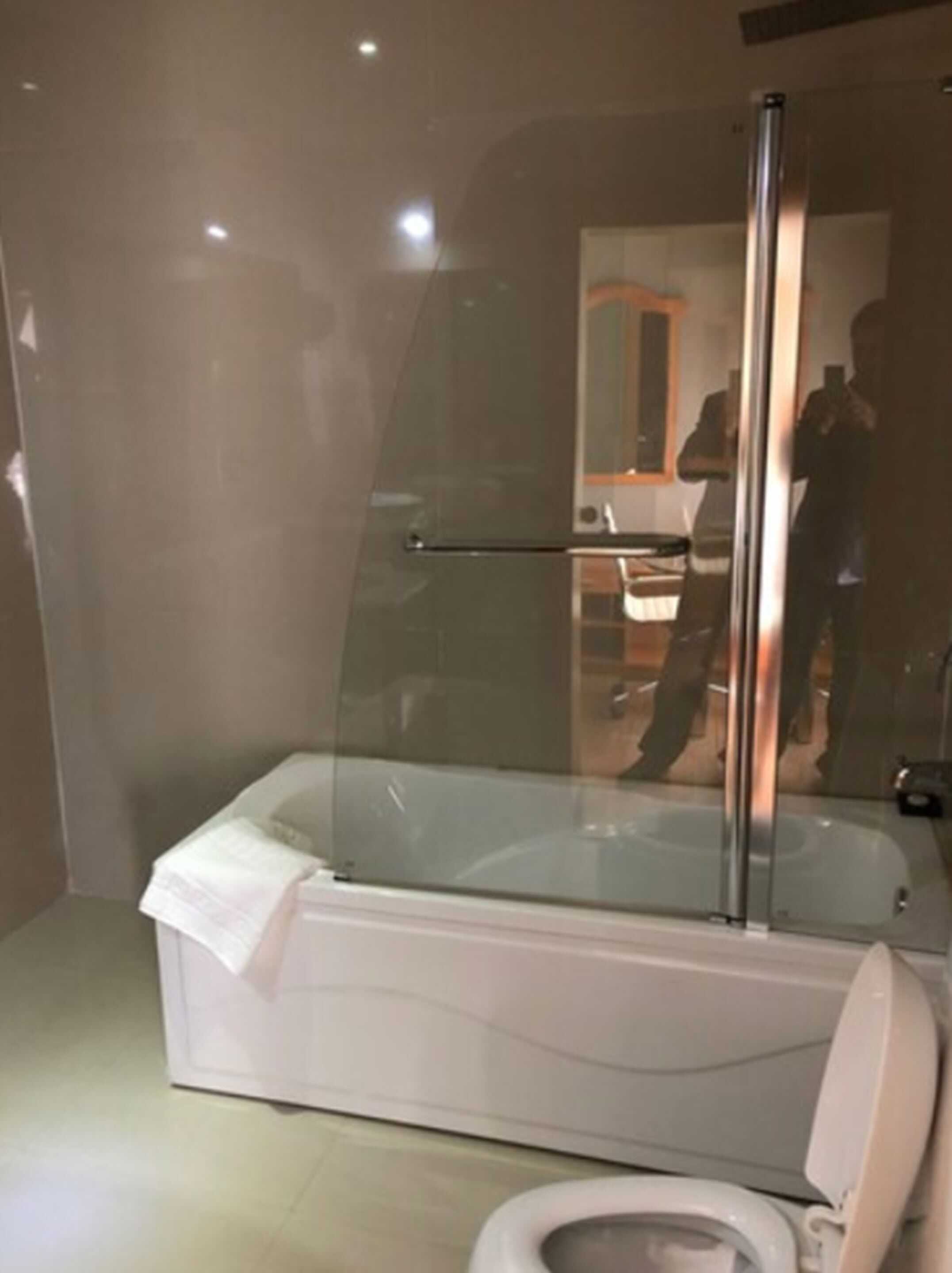 A modern bathroom with a glass-enclosed bathtub, a toilet, and a shower area.