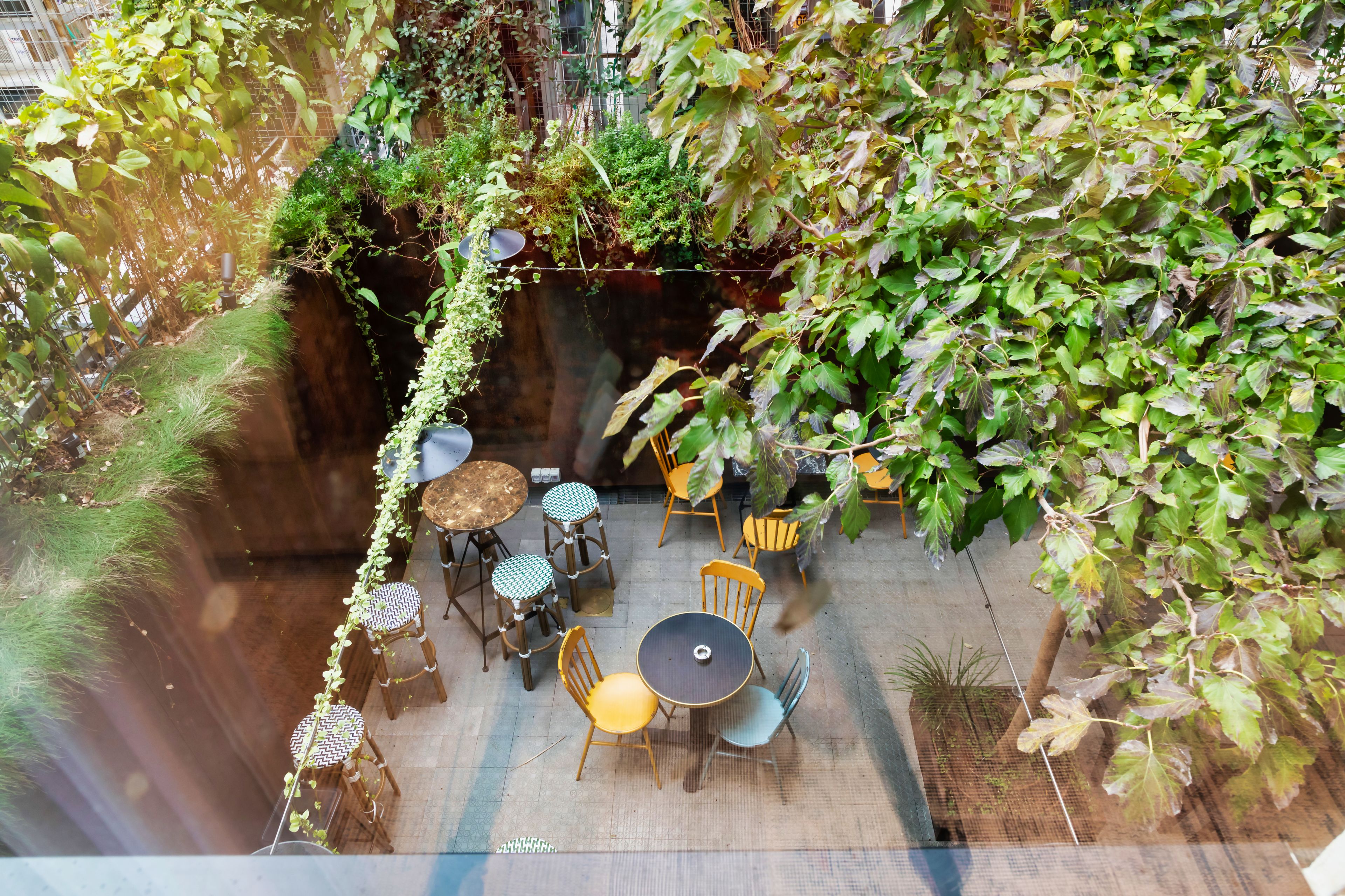 standard quadruple room | courtyard view