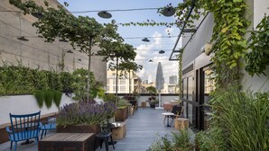 Terraza en la azotea con suelo de madera, arreglos de asientos, plantas en macetas e iluminación colgante.
