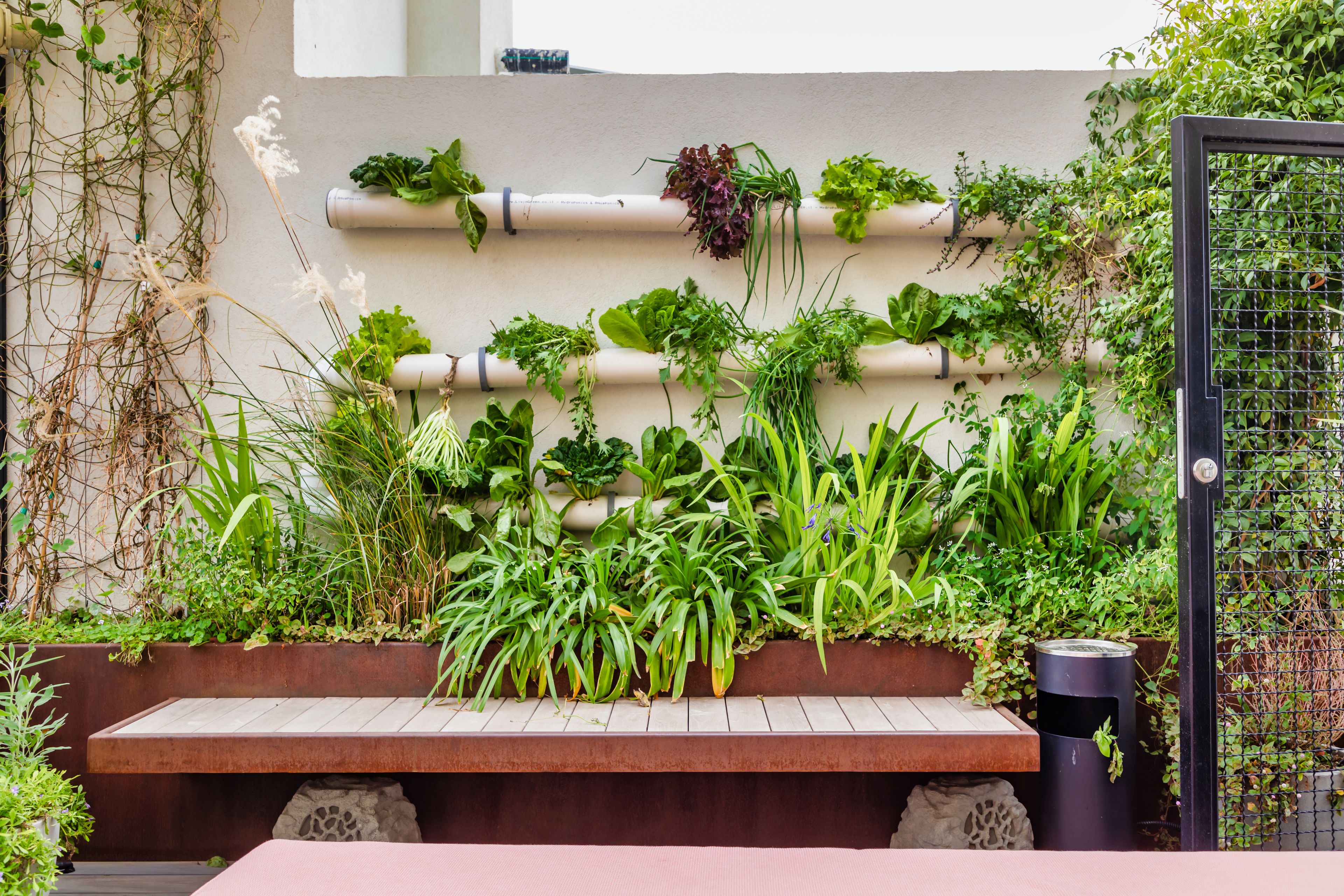 Jardín vertical con diversas plantas y hierbas creciendo en un arreglo estructurado contra una pared.