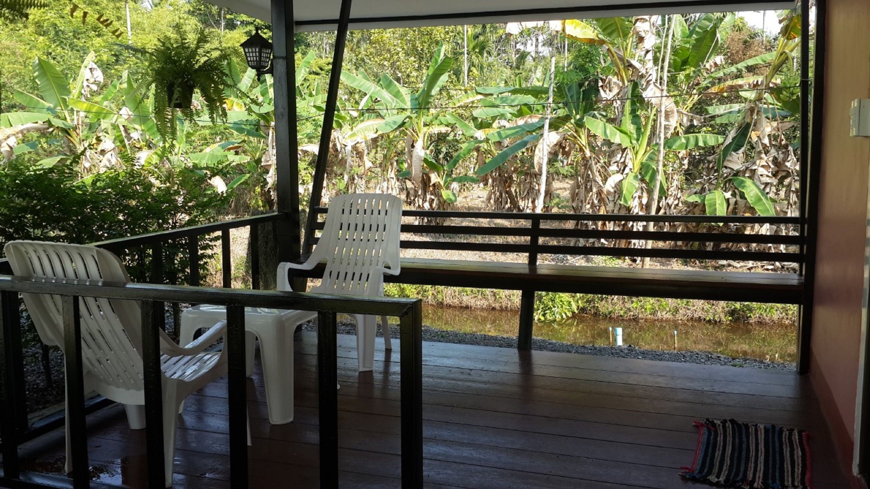 A covered outdoor seating area with two white plastic chairs and a bench, overlooking a garden with banana plants and a pond.