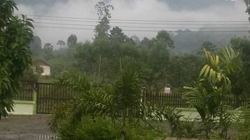Paisaje rural con una cerca, árboles y un edificio al fondo.
