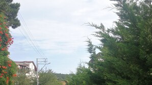 Vue sur la rue
