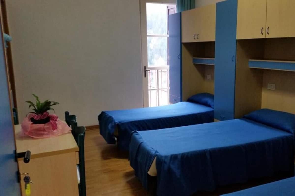 A dormitory room with two single beds, wooden furniture, a small table with a plant, and a window with a view of the outside.