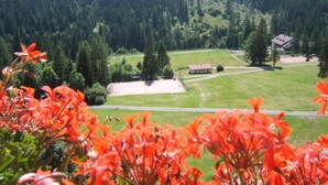 A rural landscape with a house surrounded by a forest, a tennis court, and a small building.