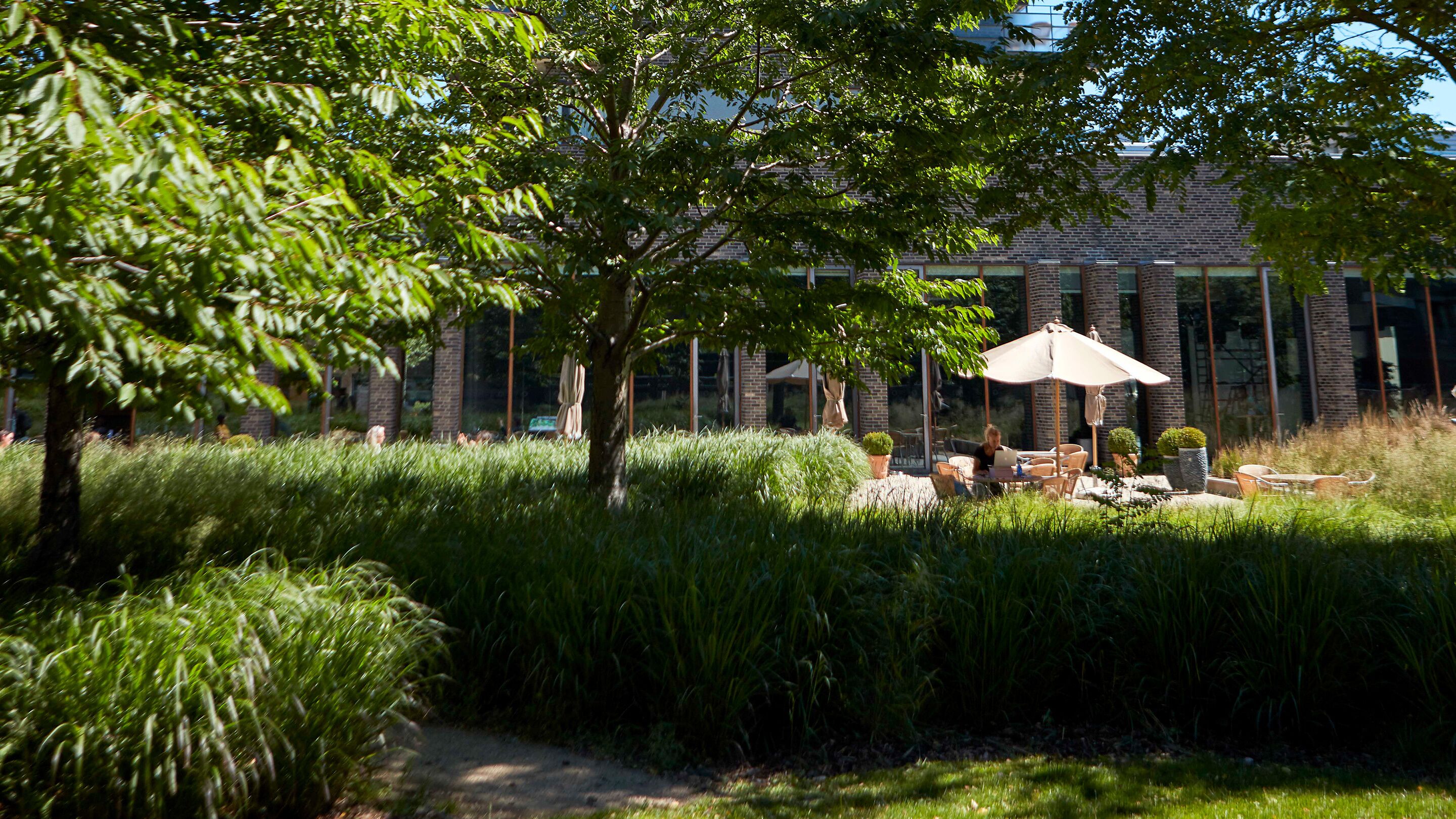 Foto - Charlottehaven