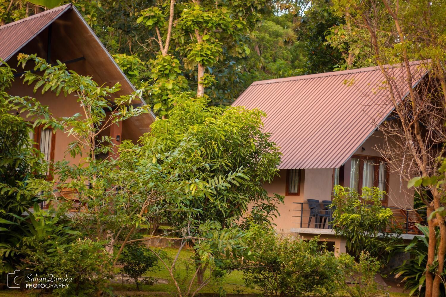 A bungalow with a sloped roof, surrounded by dense greenery.