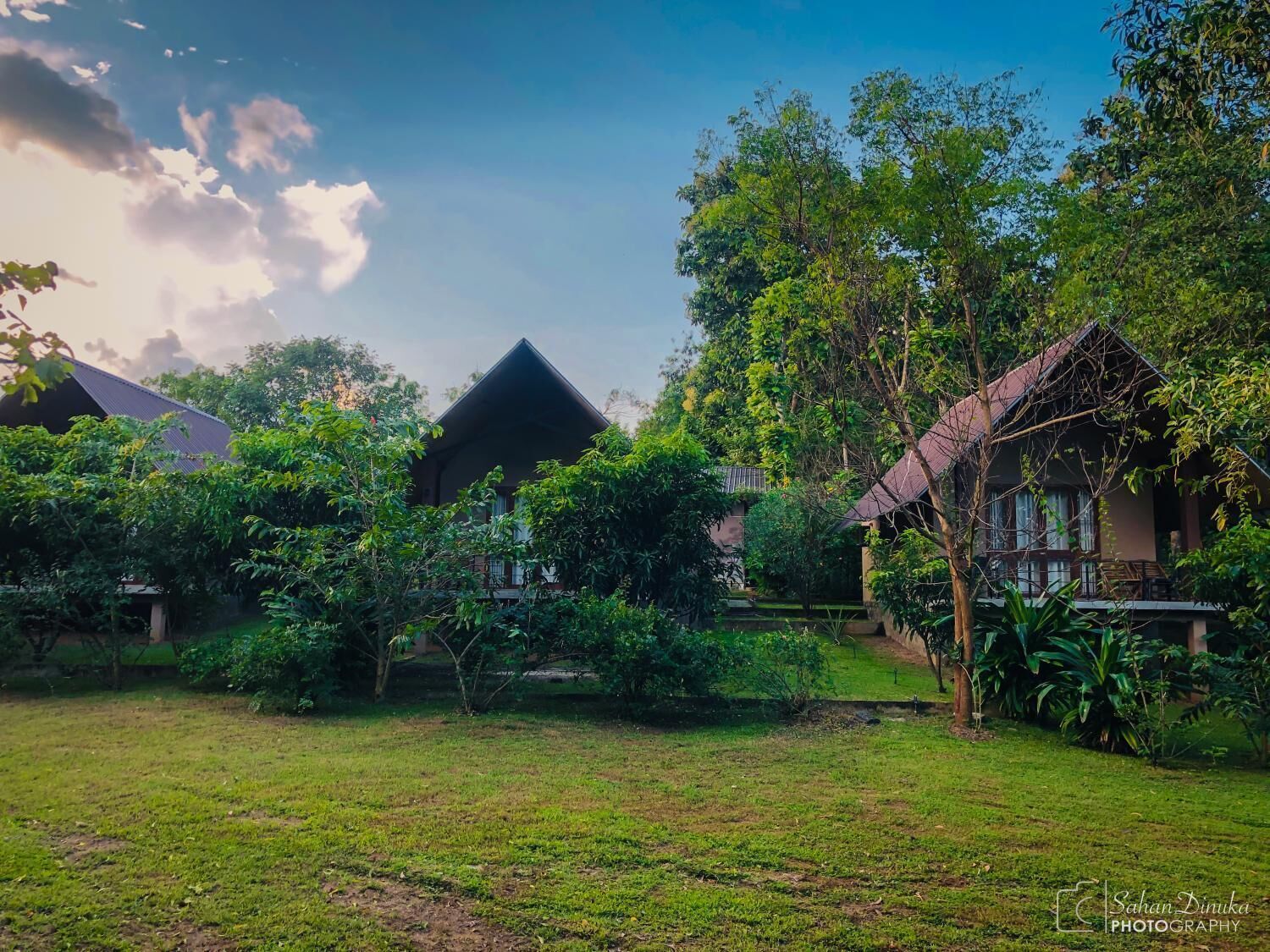 A bungalow with a thatched roof, surrounded by lush greenery and a well-maintained lawn.