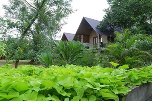 Property grounds - Hantara Udawalawa (Udawalawa)