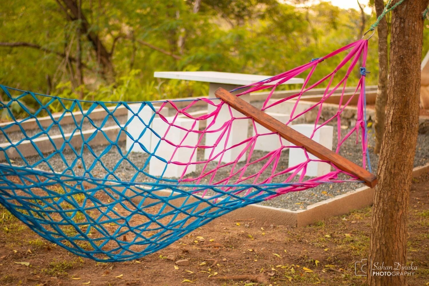 A hammock tied between trees in an outdoor setting.