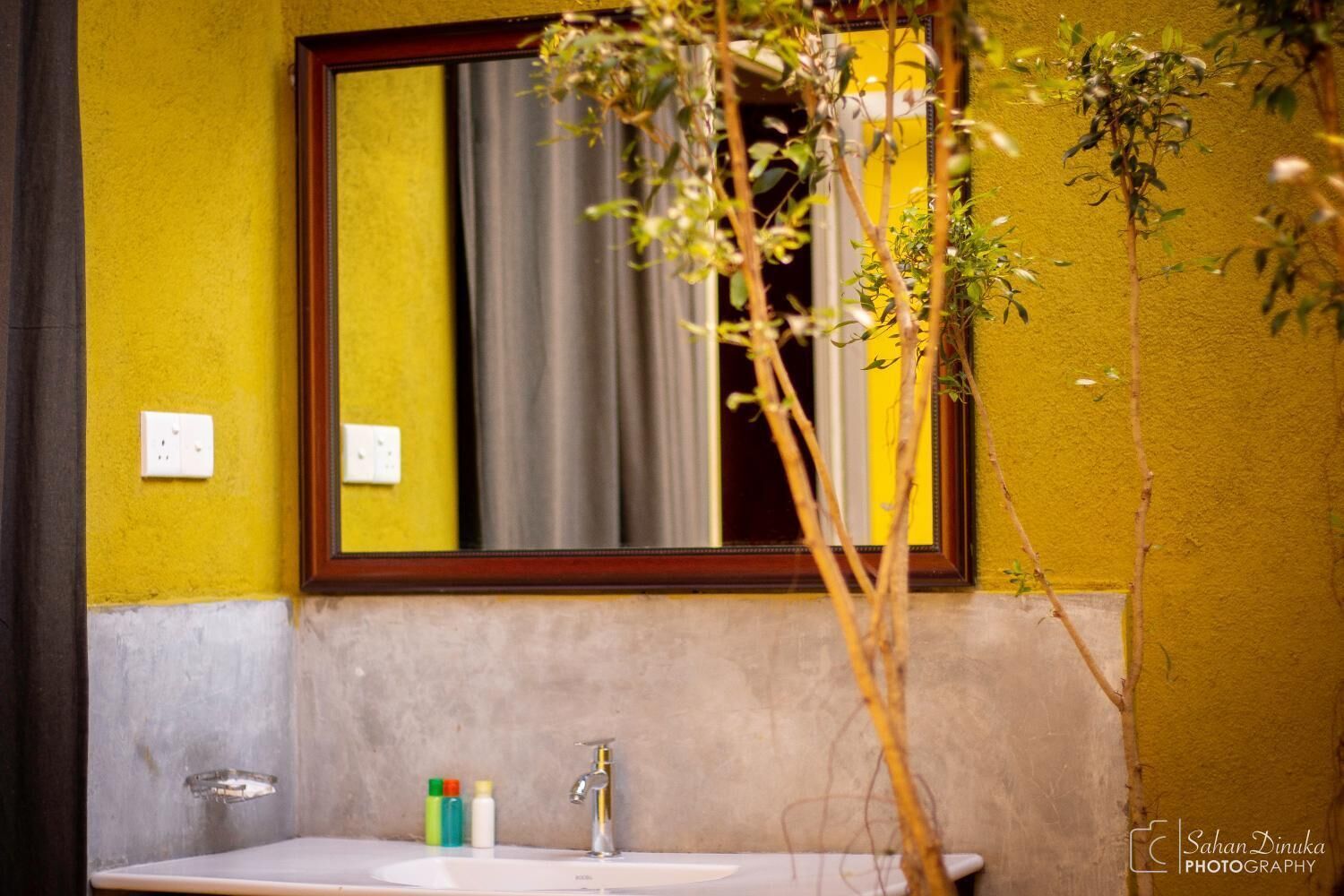 A bathroom with a yellow wall, a wooden-framed mirror, a white sink, and a plant in the corner.
