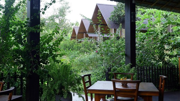 A covered outdoor seating area with wooden tables and chairs, surrounded by lush greenery and a view of traditional-style buildings in the background. - Hantara Udawalawa (Udawalawa)